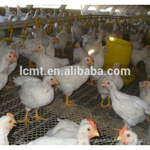 poultry broilers farming equipment for chicken house